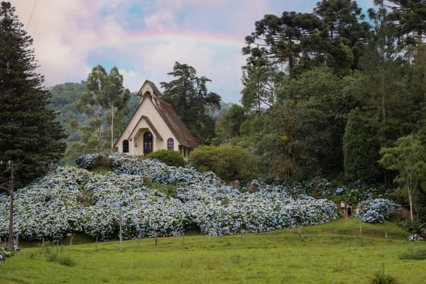 Estrada do Julio - Santa Catarina (Source_ Adobe Stock)