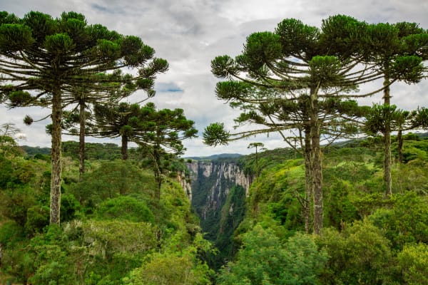 Beautiful view of the Itaimbezinho Canyons in Cambará do Sul. Brazil. (Source_ Adobe Stock)