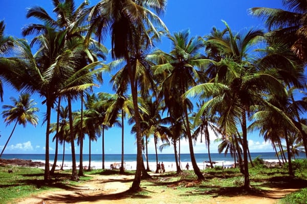 Itacaré Bahia (Source_ Canva)