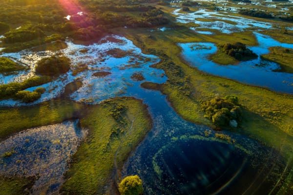 Pantanal photographed in Corumbá, Mato Grosso do Sul. Pantanal Biome, Brazil. (Source_ Canva)