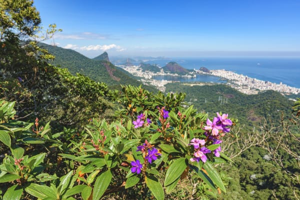 Pedra da Proa, Tijuca National Park (Source: Adobe Stock)