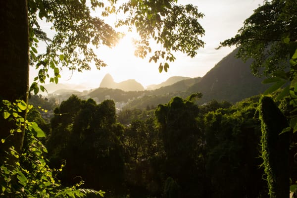 View from a trail in Rio de Janeiro (Source: Canva)