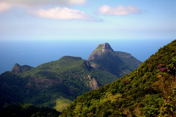 Tijuca National Park (Source: Canva)