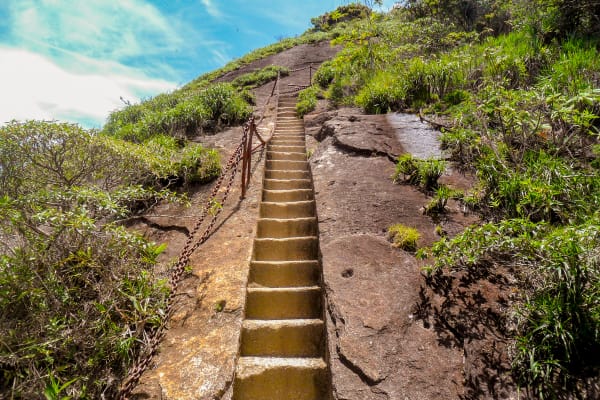 Access to Pico da Tijuca (Source: Canva)
